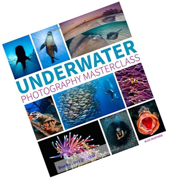 Underwater Photography Masterclass